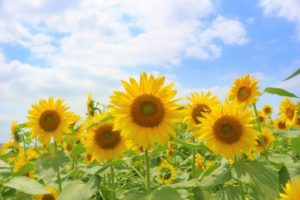 台湾高雄留学〜期末テストと半年間を振り返って〜夏休み始まり